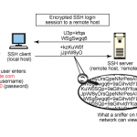 تفاوت SSH و Telnet